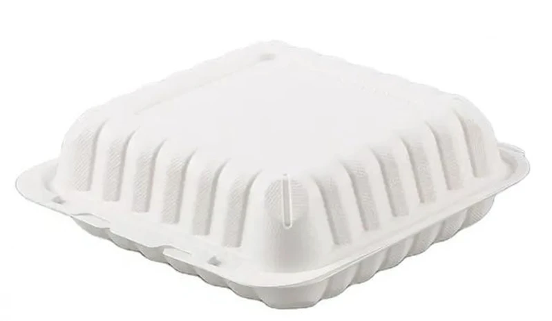 disposable lunch boxes