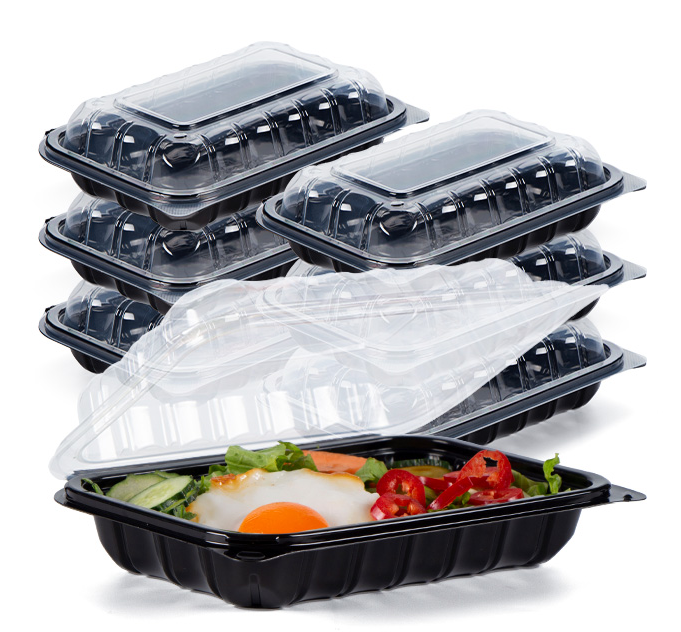 disposable lunch boxes