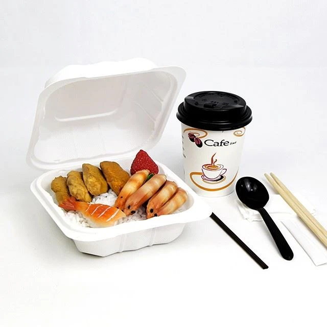 6x6 Inch Hinged To-Go Food Containers FDA Food Grade