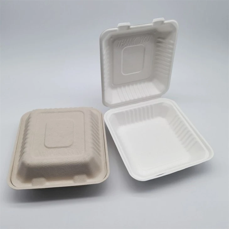 Biodegradable Sugarcane Bagasse Fibre Pulp Paper Takeout Container