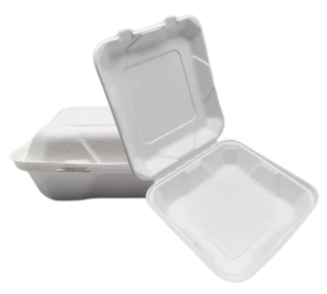 9 colių „Bagasse To Go“ maisto konteineriai