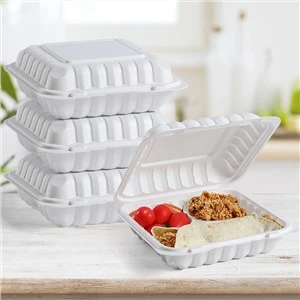 9''x9'' plastikinė maisto išsinešimo talpa