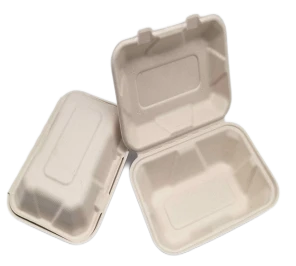 „To Go Containers“ vienkartinis bagasas