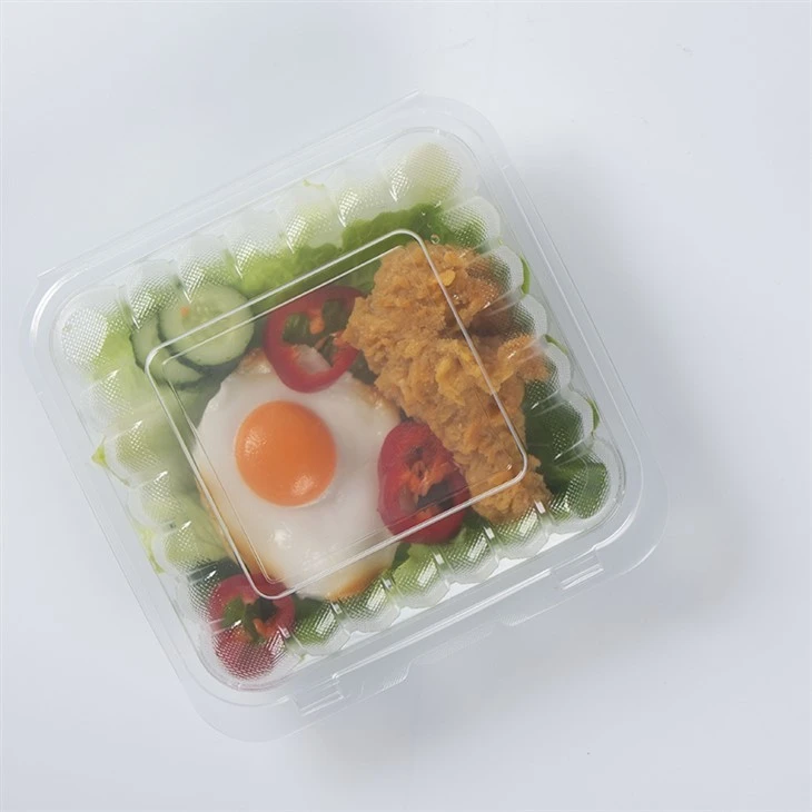 Išnešioti vienkartinė maisto Bento priešpiečių dėžutė