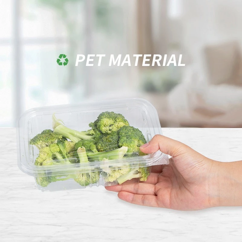 Container For Packaging best
