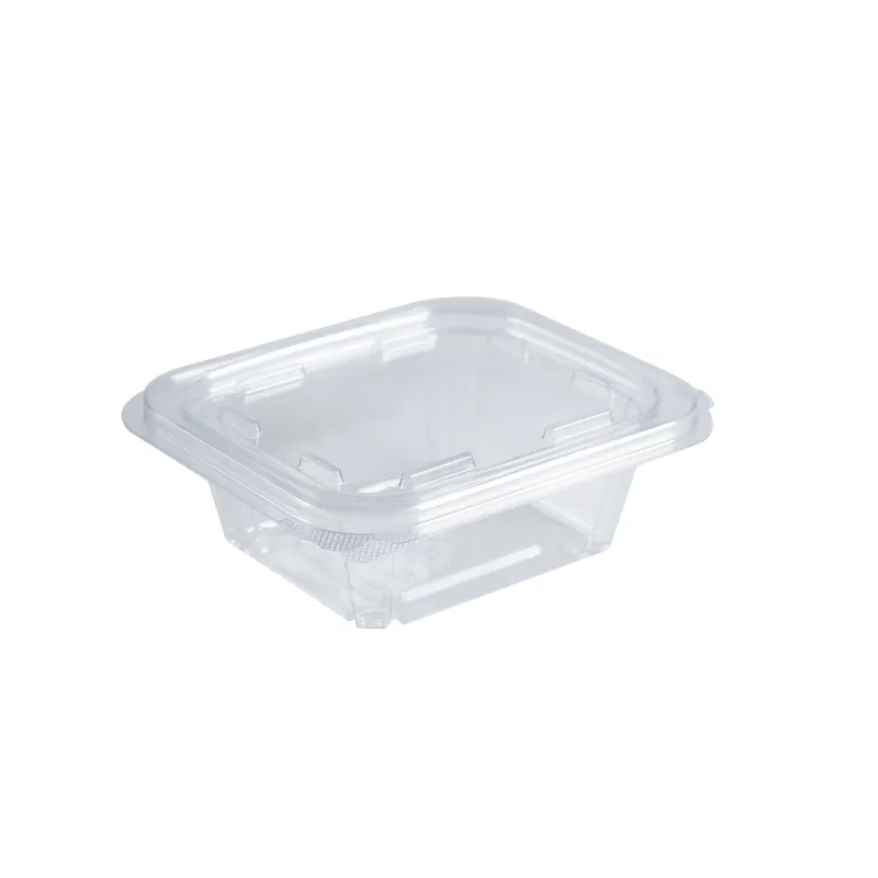 Naminių gyvūnėlių salotų vyrių deli konteineris